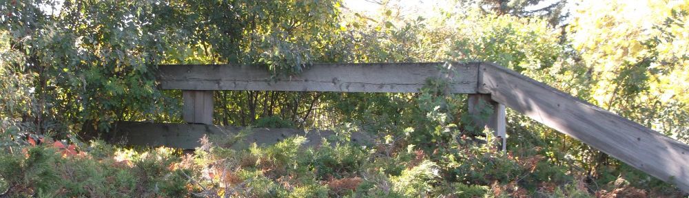 Organizational Biology