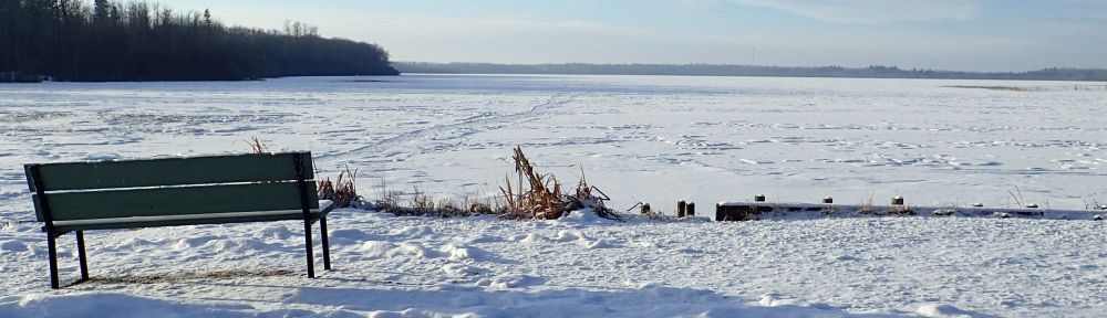 Snow covered park bench looking out onto Lessard Lake