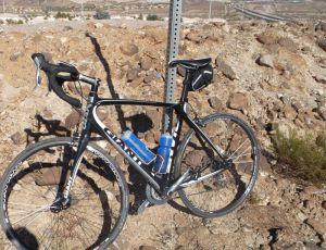 2014-11-02 - Our Trusty Steads