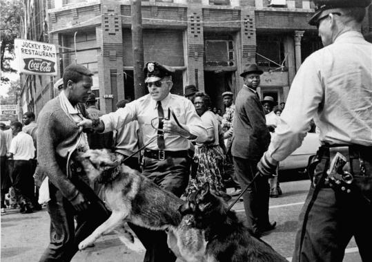 Walter Gadsden, 17, was attacked by police dogs on May 3, 1963, during civil rights demonstrations in Birmingham, Ala. (Bill Hudson/Associated Press) , courtesy of www.boston.com