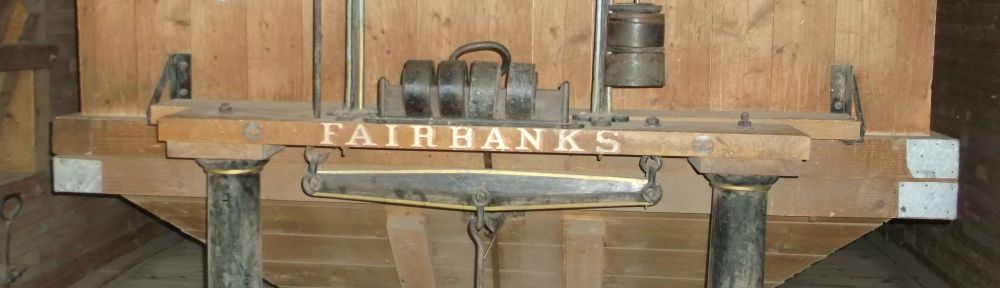 Organizational Biology