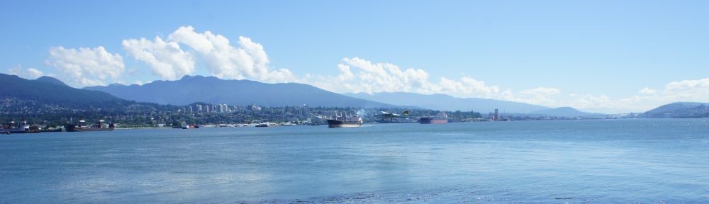 Organizational Biology