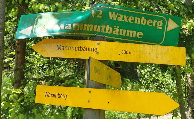 Which direction a SNP should go can be helped with a well crafted decision request.