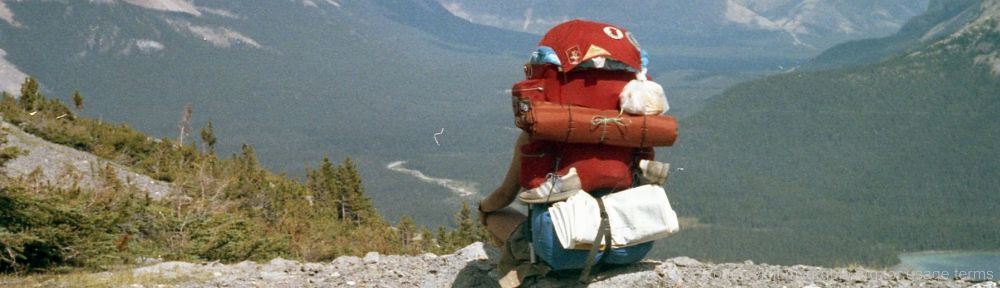 Organizational Biology