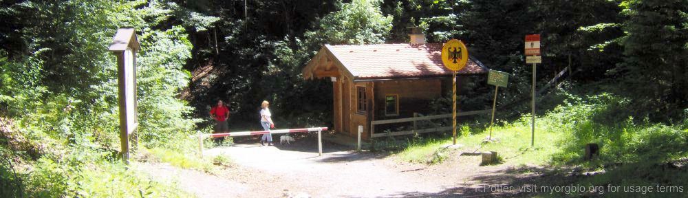 Organizational Biology