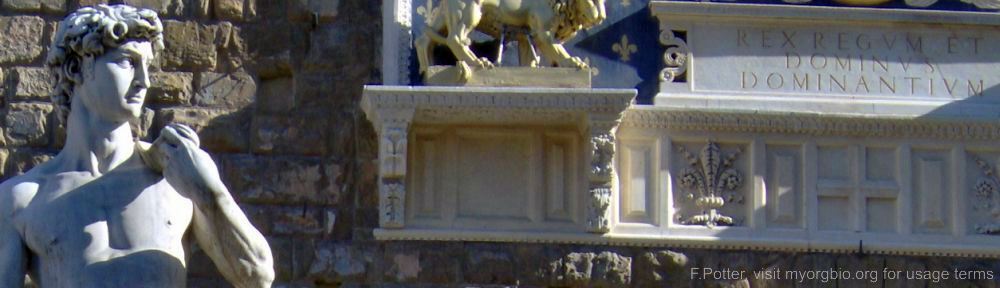 Organizational Biology