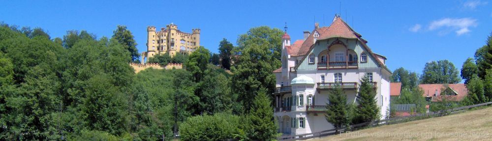 Organizational Biology