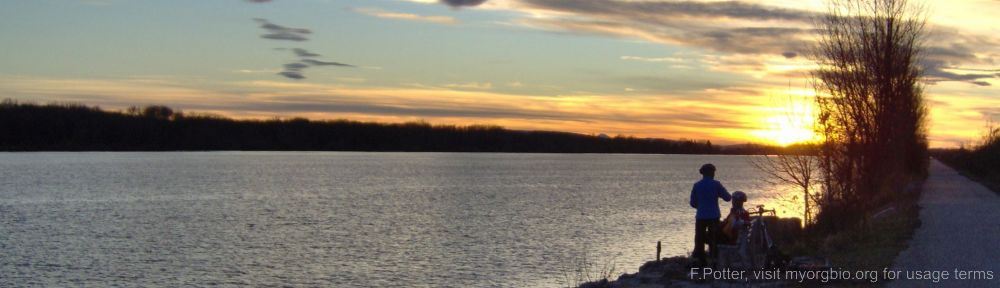 Organizational Biology