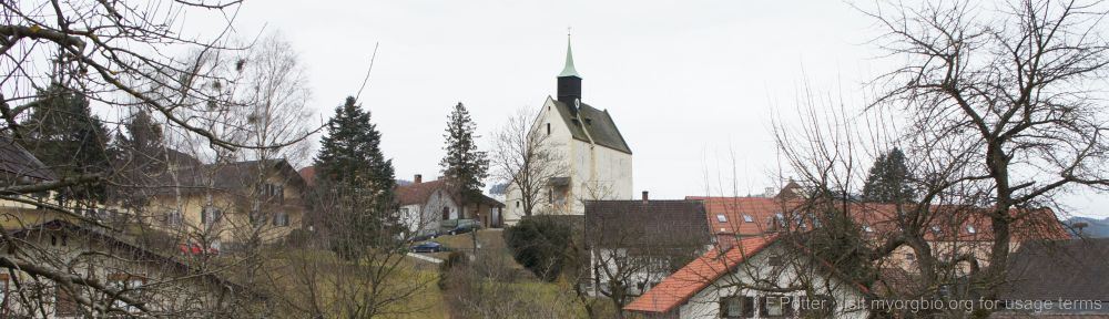 Organizational Biology