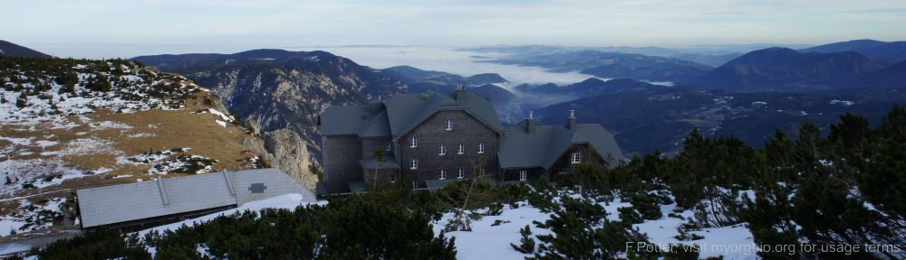 Organizational Biology