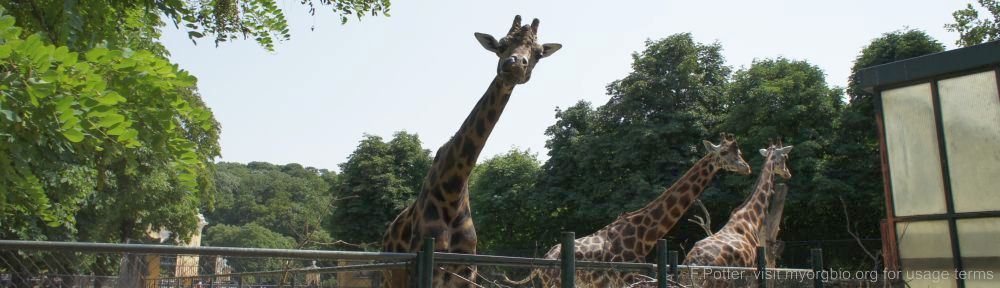 Organizational Biology