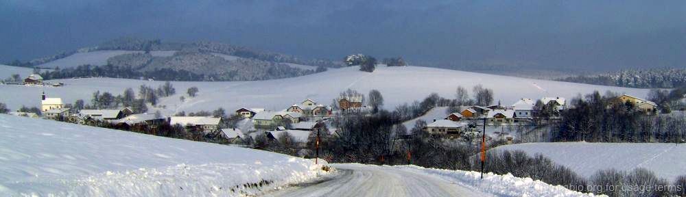 Organizational Biology