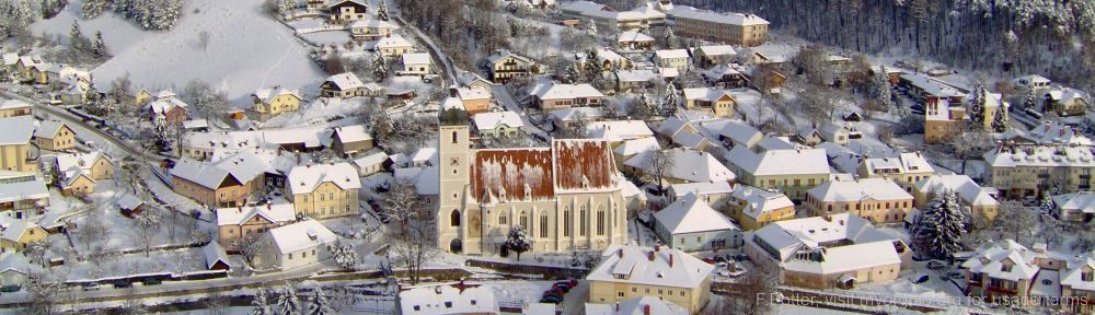 Organizational Biology