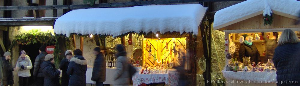 Organizational Biology