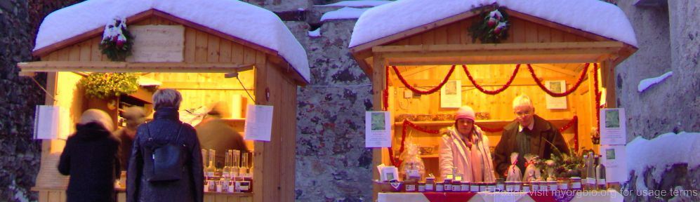 Organizational Biology