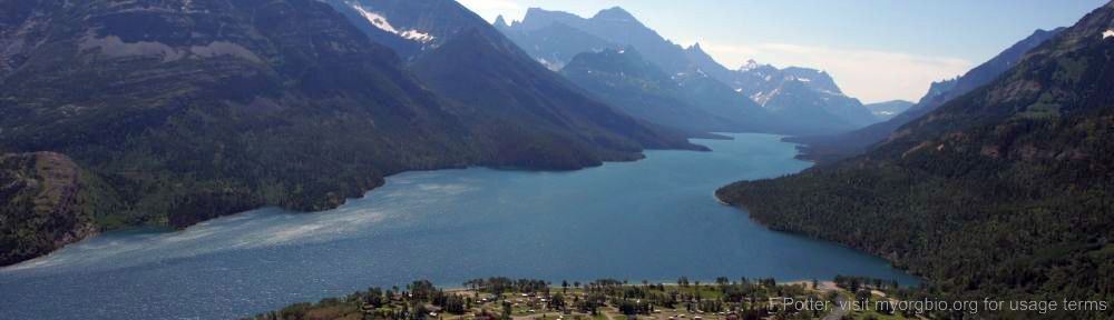 Organizational Biology