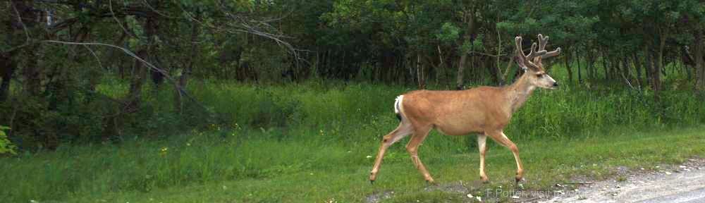 Organizational Biology