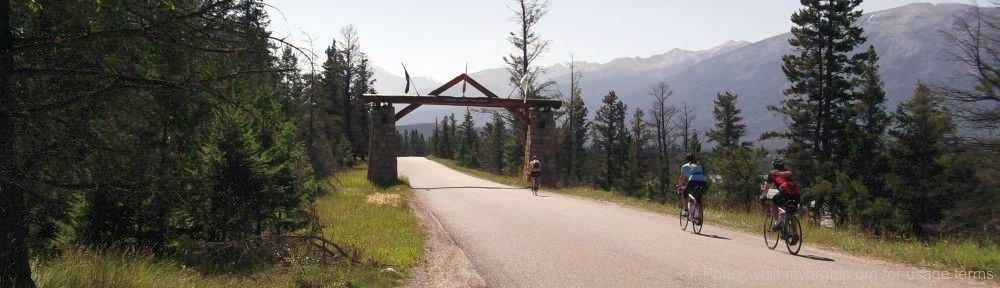 Organizational Biology