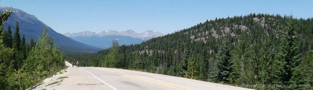 Organizational Biology