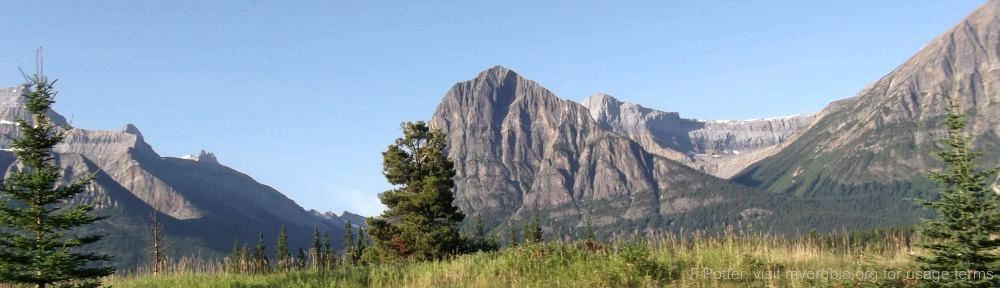 Organizational Biology