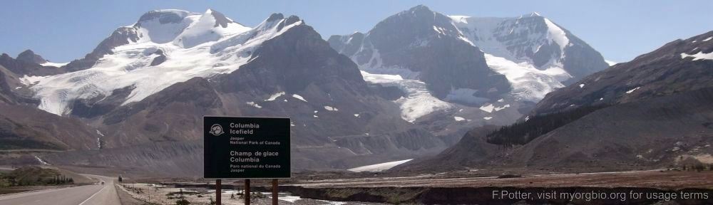 Organizational Biology