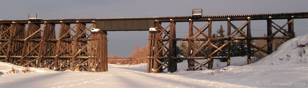 Organizational Biology