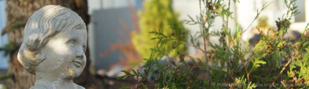 Organizational Biology