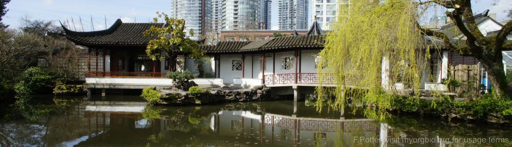 Organizational Biology