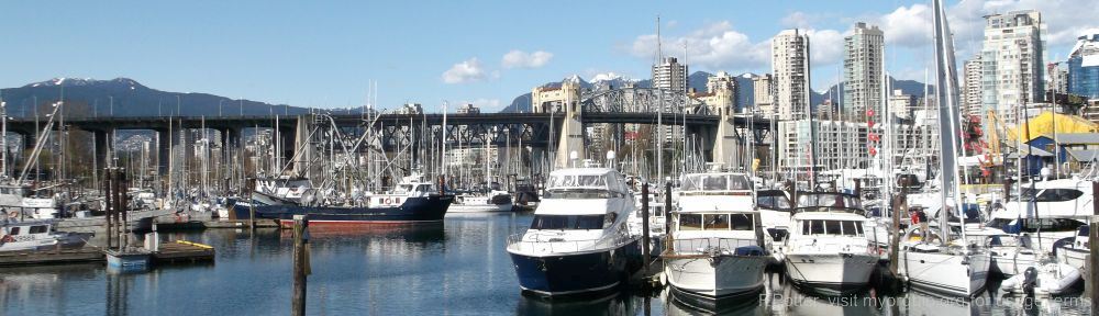 Organizational Biology