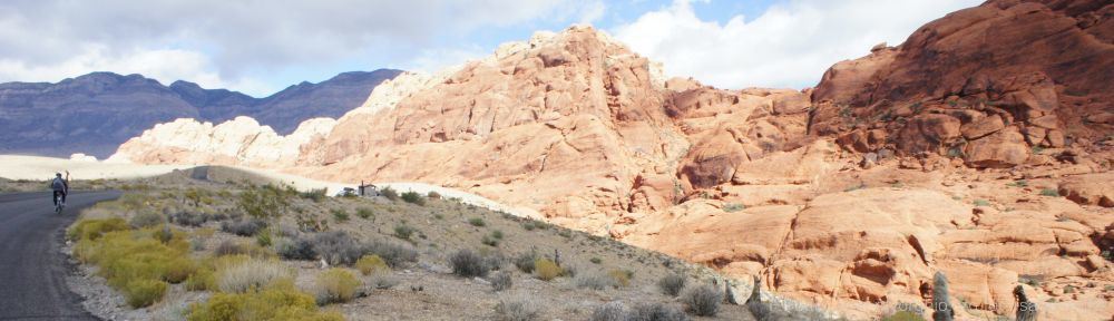 Organizational Biology