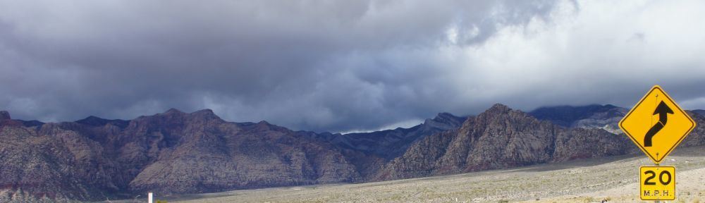 Organizational Biology