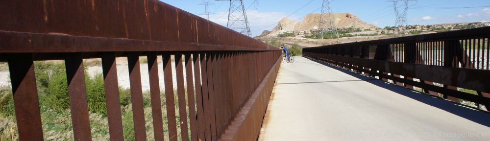 Organizational Biology