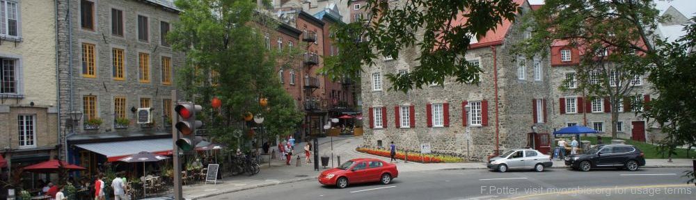 Organizational Biology