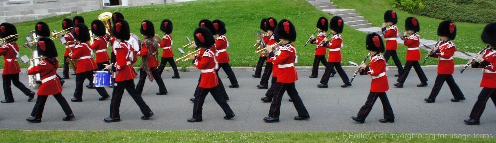 Organizational Biology