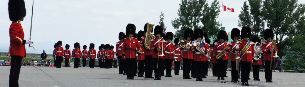 Organizational Biology