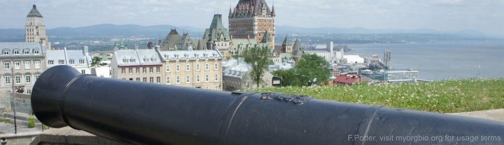 Organizational Biology