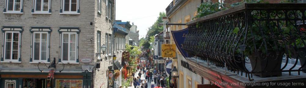 Organizational Biology