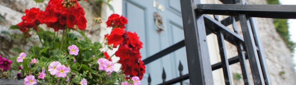 Organizational Biology