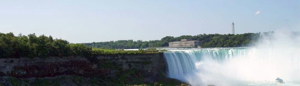 Organizational Biology