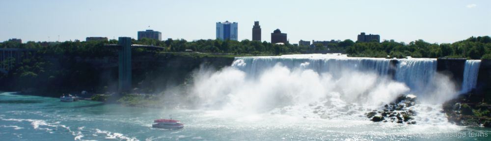 Organizational Biology