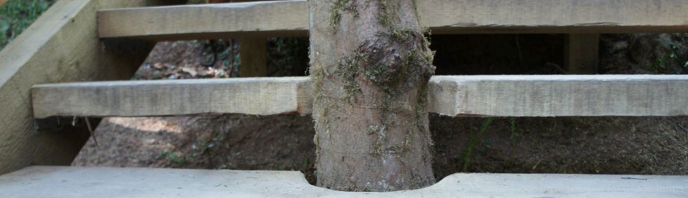 Organizational Biology