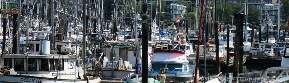 Organizational Biology