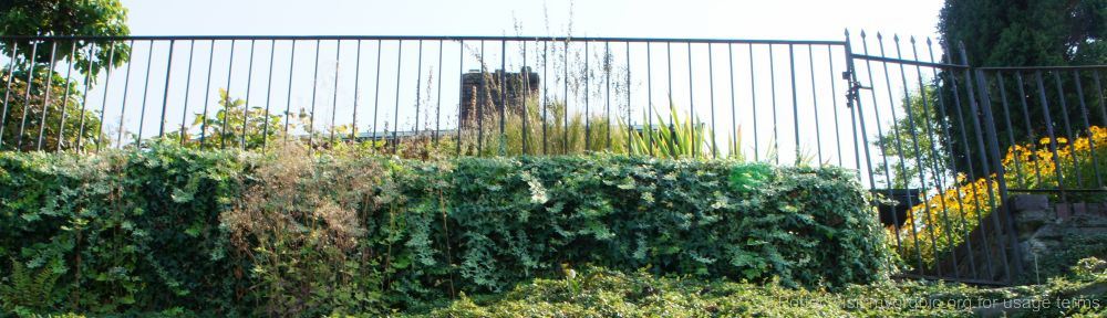 Organizational Biology