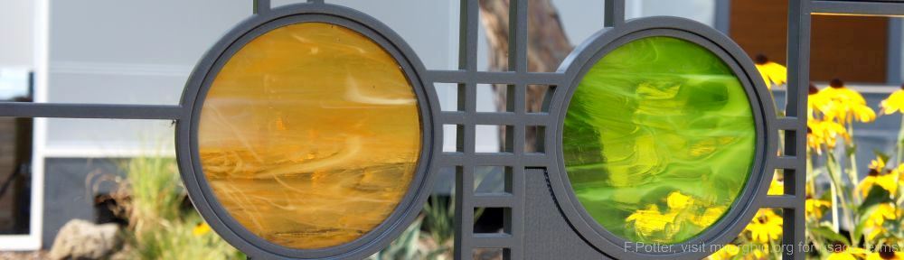 Organizational Biology