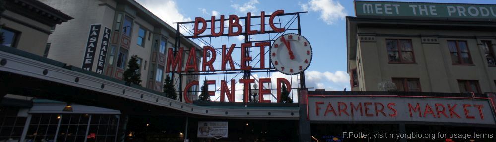 Organizational Biology