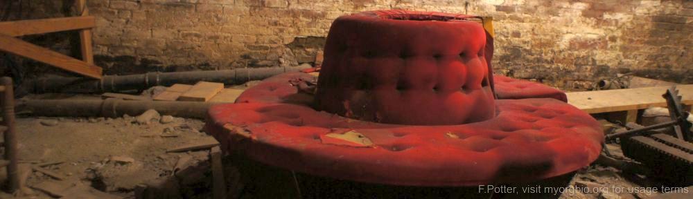 Organizational Biology