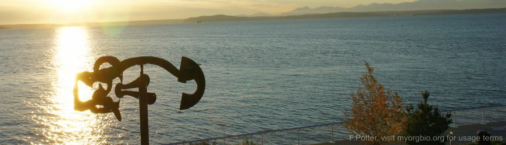 Organizational Biology