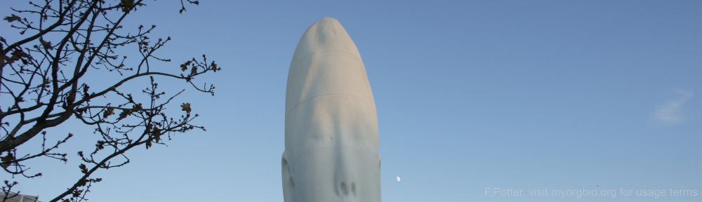 Organizational Biology