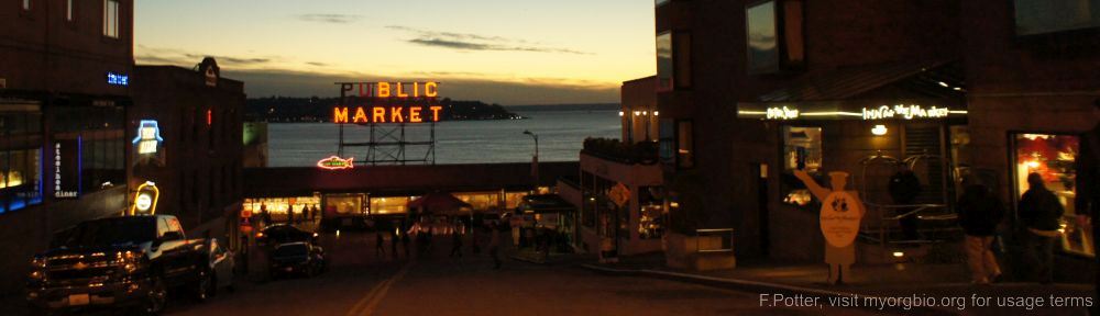 Organizational Biology