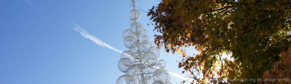 Organizational Biology